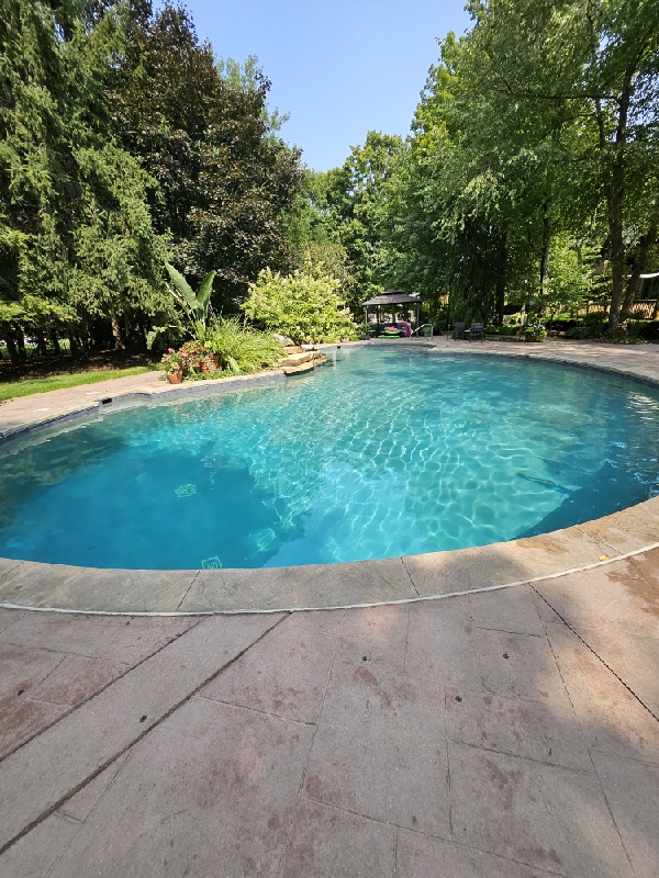 Pool maintenance after photo - restored freeform inground pool with sparkling clean turquoise water and pristine deck by Barton Pool Company